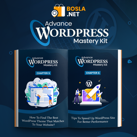 Advanced WordPress Masterclass PLR Bundle