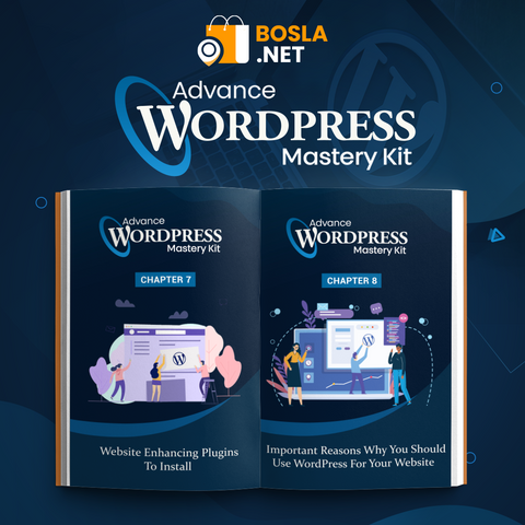 Advanced WordPress Masterclass PLR Bundle